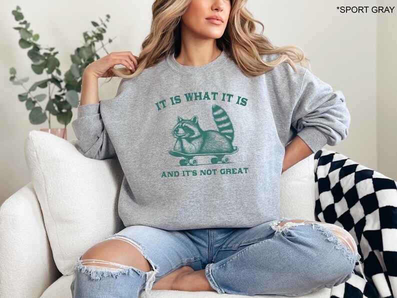 May include: A gray sweatshirt with a green raccoon graphic skateboarding and the text "It is what it is and it's not great".