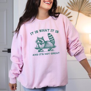 May include: Pink sweatshirt with a graphic of a raccoon skateboarding and the text "It is what it is and it's not great."