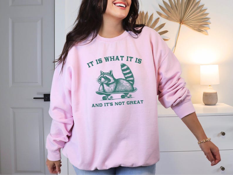 May include: Pink sweatshirt with a graphic of a raccoon skateboarding and the text "It is what it is and it's not great."