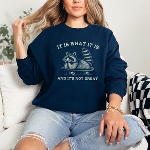May include: A navy blue sweatshirt with a graphic of a raccoon skateboarding and the text "It is what it is and it's not great."