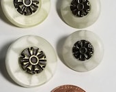 Ivory Plastic and Metal Buttons. Shank Back. Two sizes.