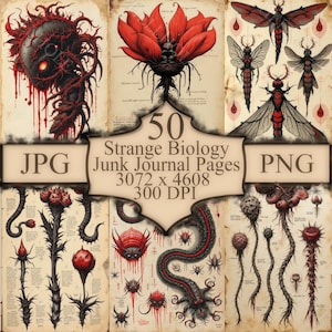 Weird Biology Illustration Pack: Unnatural Organisms, Hybrid Anatomy (Printable Digital Download)