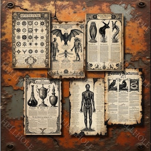 Vampiric Grimoire: 50 Gothic Illustrations for Junk Journals (Digital Download) image 4