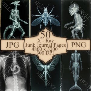 以下が含まれることがあります： 様々な生物の骨格を描いたグレースケールX線画像コレクション。恐竜のような姿、羽のある昆虫、人型などが含まれています。「50 X-Ray Junk Journal Pages」のテキストも表示されています。