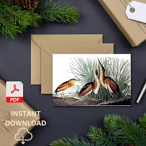 Cartão de saudação em branco para pássaros, cartão de animais, cartão de aniversário, cartão de agradecimento, arte de pássaros, cartão de vida selvagem, pássaros de caça,