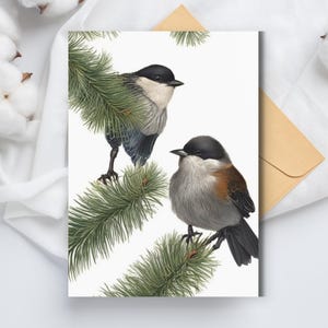 Vogel blanko Grußkarte, Tierkarte, Geburtstagskarte, Danke-Karte, Vogelkunst, Wildtierkarte, Spielvogel,