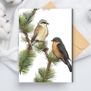 Birds Pine Blanko-Karten, - Grußkarte, Geburtstagskarte, Dankeskarte, Tierkarte, Vogelkunst, Wildtierkarte