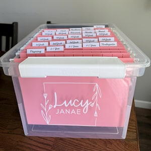 May include: A clear plastic storage bin containing pink hanging file folders with white labels. The front folder features the name Lucy Janae in white text inside a floral frame. The labels include Pregnancy, 0-1 Year, Kindergarten, and grades 1st through 12th.