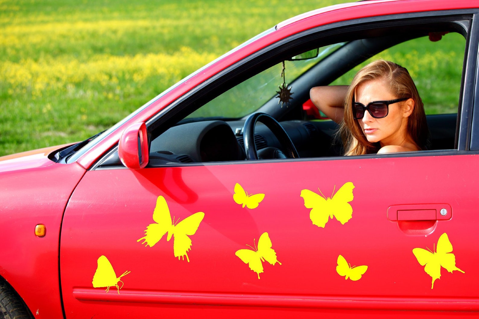 Car Butterfly Stickers Auto Vinyl Decor Set of 8 Decals in Different
