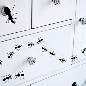 Set of 16 Ants Vinyl Wall Decal Stickers Insect Interior Home Decor image 1