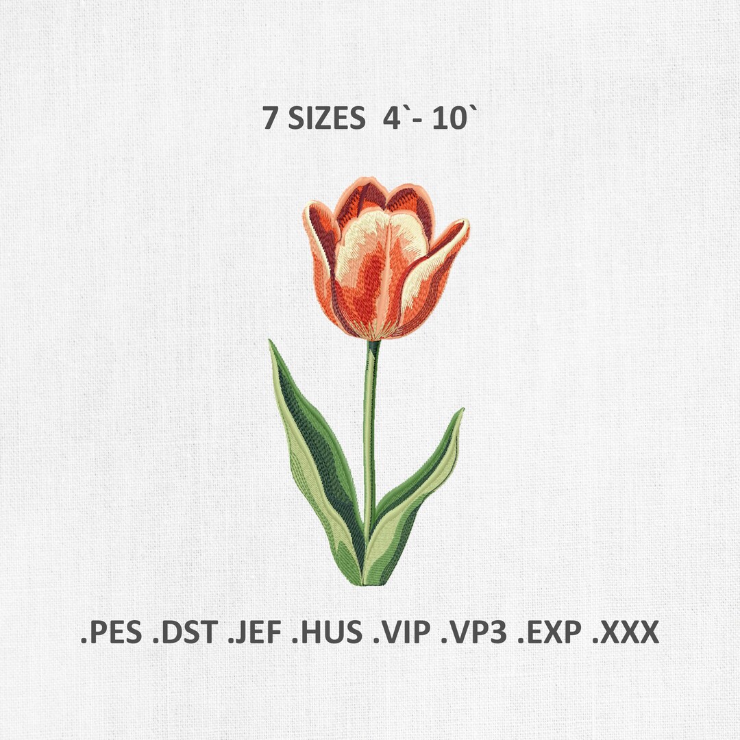 Tulip Machine Embroidery Designs, Spring Floral PES DST Files - Etsy