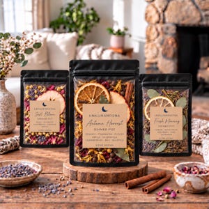 Simmer Pot Kit | Home Fragrance | Stovetop Potpourri | Housewarming Gift | Natural Home Scent | Cozy Simmering Pot | Organic Botanical Blend