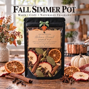 Höstgrytpaket: Höstpotpurri för spishäll, blandning av torkad frukt och kryddor, present till värdinnan för Thanksgiving. Sjudpotpurri