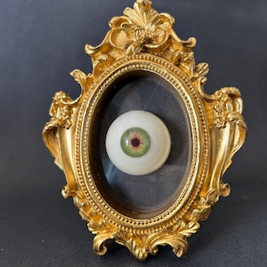 Ex Voto Cadre Baroque Oeil Anatomique, Gothique Décor, Victorian Curiosité Art, Unique Gothic Home Decor