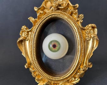 Ex Voto Barok ingelijst anatomisch oog, gotische decoratie, Victoriaanse kunstcuriositeit, unieke gotische woondecoratie