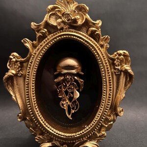 Puede incluir: Una escultura de medusa de color dorado montada dentro de un marco ovalado dorado ornamentado con detalles florales y volutas intrincadas. La medusa presenta una parte superior redondeada y lisa con tentáculos delicados y fluidos sobre un fondo oscuro.