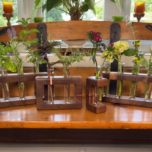 Upcycled Walnut Herb Propagation Stand – Plant Root Starter & Herb Saver