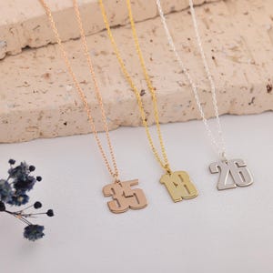 Könnte beinhalten: Drei Halsketten mit Anhängern mit den Zahlen 35, 18 und 26. Die Halsketten sind gold-, roségold- und silberfarben. Die Anhänger sind ausgeschnittene Zahlen. Die Ketten sind filigran und dünn. Der Hintergrund ist neutral.