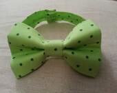 Green Spring Dots Dog Bowtie