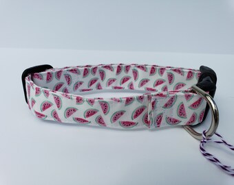 Summer Watermelon Slices Dog Collar