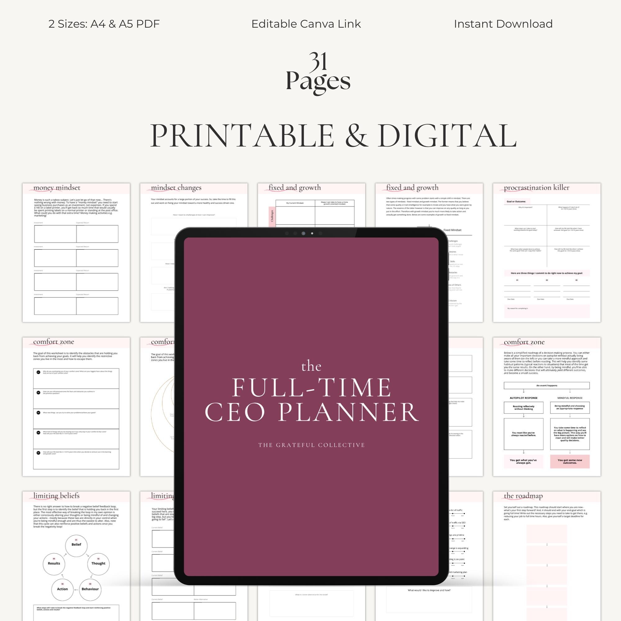 The CEO Daily Planner | Schedule, Productivity, Limiting Beliefs, Goal ...