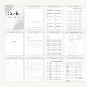 Budget Planner Printable Templates | Money Saving Binder | Personal Finance Tracker | PDF A4 A5 Canva