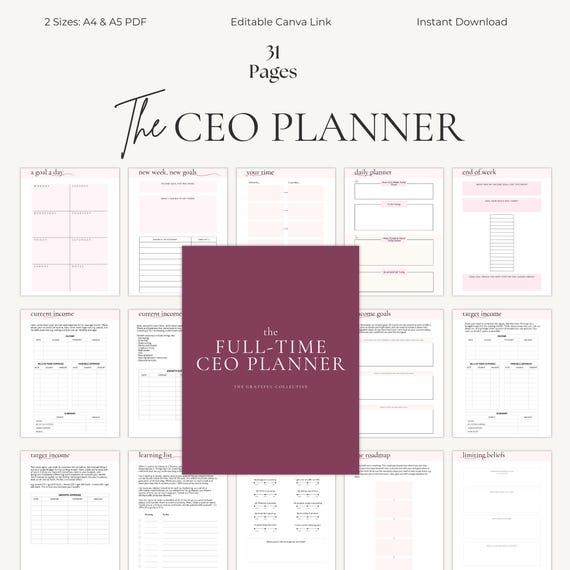 CEO Planner Business Workbook CEO Journal Solopreneur Organiser Goal Planning Book
