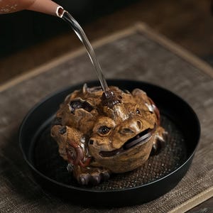 Könnte beinhalten: Eine detaillierte, braune Keramikfroschfigur mit strukturierter Oberfläche, in einer schwarzen Schale. Wasser wird aus einem braunen Ausguss in den offenen Mund des Frosches gegossen. Der Frosch hat sichtbare Augen und ein detailliertes, strukturiertes Design.