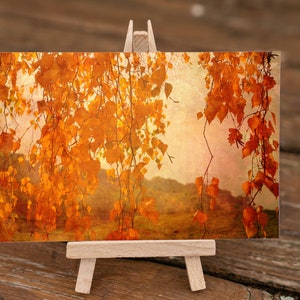 Autumn in Fairy Land - carte postale carte carte paysage automne bouleau arbre branches feuilles feuillage brun orange