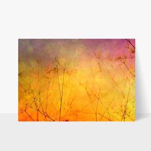 May include: A blurry, abstract image of dried plants with a yellow, orange, and pink background. The background has a soft, watercolor-like effect with a bokeh effect.
