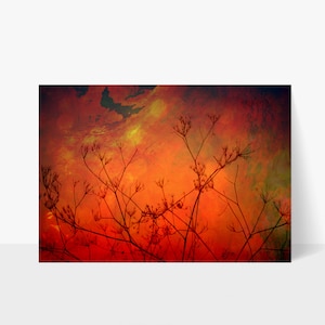 May include: Silhouette of dried branches against a fiery orange and red sunset sky. The branches are thin and delicate, creating a delicate and ethereal feel.