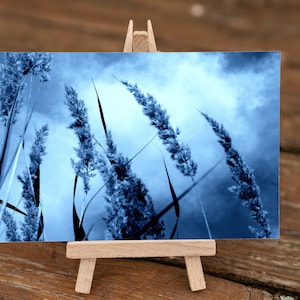 May include: A blue toned photograph of tall grass blowing in the wind against a cloudy sky. The image is displayed on a small wooden easel.