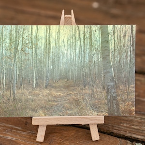Winter Miracle - Postkarte Karte Querformat Winter Wald Bäume Birken Pfad braun grau beige
