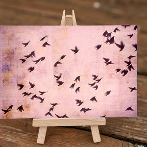 Flying South - Postkarte Karte Querformat Vögel Himmel Tiere Herbst Vogelschar Schwarm rosa violett rosé