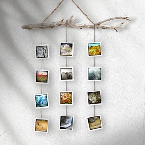 TTV - Ensemble de 12 impressions d’art Cartes postales Cartes d’art Viseur Oiseaux Coquelicot Été coloré