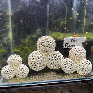 May include: A glass tank with a sign that says "No Fishing" and several white, spherical, decorative objects with a honeycomb pattern.