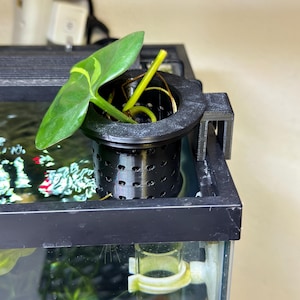 Hang on Tank Plant Holder w/ Removable Cup Insert