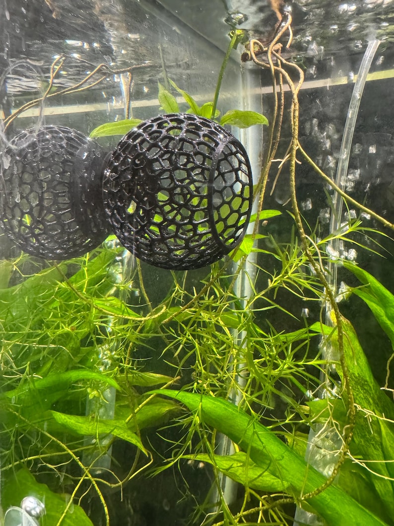 May include: Two black, spherical, open-weave aquarium plant holders suspended in a fish tank. The holders are filled with green plants. The tank also contains various green aquatic plants and a clear tube.