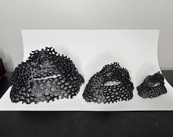 Cueva del Acuario Voronoi: Refugio para peces y camarones