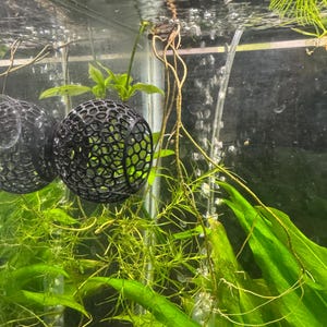 Saug Betta Fisch Verstecken: Voronoi 3D Gedruckte Aquarium Höhle
