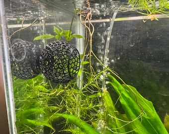 Escondite de succión para peces Betta: Cueva de acuario impresa en 3D de Voronoi