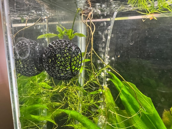 Suction Betta Fish Hide: Voronoi 3D Printed Aquarium Cave