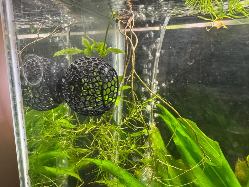 May include: Two black, spherical aquarium plant holders with a honeycomb design, suspended in a fish tank. The holders are filled with green plants, surrounded by other aquatic plants. Bubbles rise in the water.