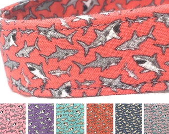 Shark Dog Collar for Boy Girl - Coral Sea