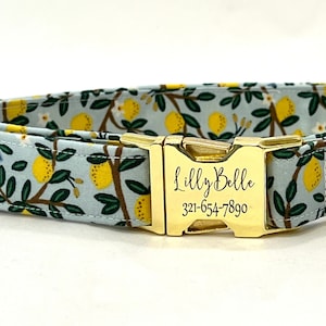 Rifle Paper Co Personalized Dog Collar - Laser Engraved Buckle - Lemon Trees