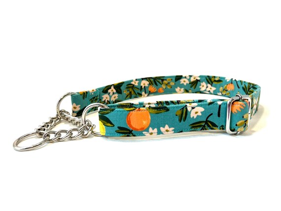 Rifle Paper Co. Chain Martingale Dog Collar 1" Wide - Citrus Floral - Lemons, Oranges - Rose Gold, Antique Brass, Gunmetal