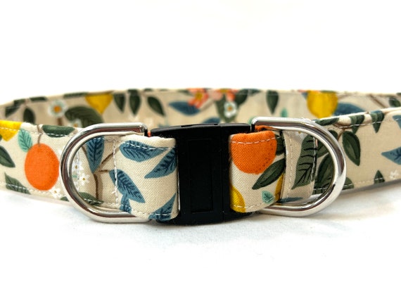 Rifle Paper Co. BREAKAWAY Dog Collar for Boy, Girl - Safety - Florida Citrus Beige