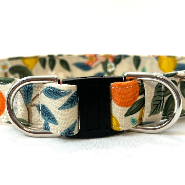 Rifle Paper Co. BREAKAWAY Dog Collar for Boy, Girl - Safety - Florida Citrus Beige