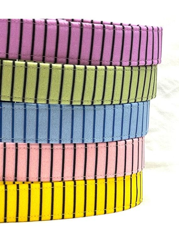 Paris Pinstripes Dog Collar for Boy Girl