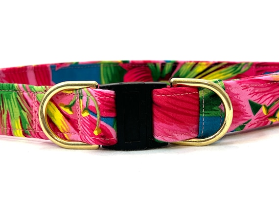 BREAKAWAY Dog Collar for Boy, Girl - Safety - Tropical Jungle Flowers